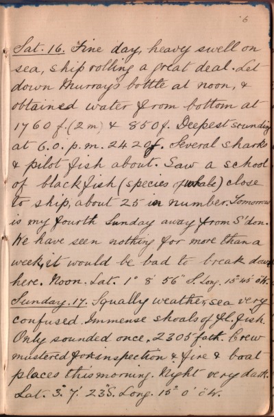 16 November 1889 journal entry